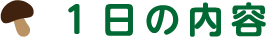 1日の内容